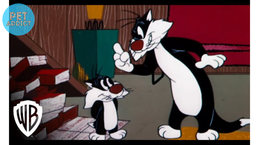 The Charm of Imperfection sylvester the cat