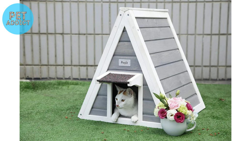 The Value of Heated Cat Houses
