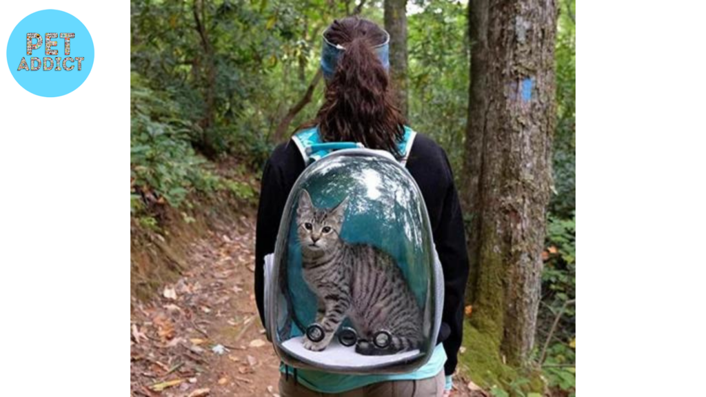 Water-Resistant Cat Backpacks